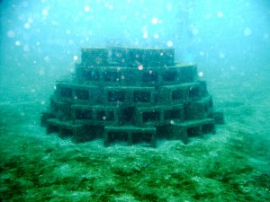Artificial Reef Made with Blocks