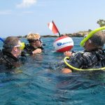 Dive Courses