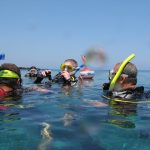 Dive Courses