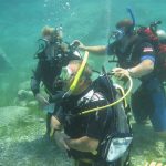 Dive Courses