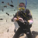 Dive Courses