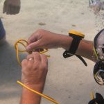 Dive Courses