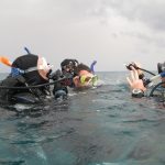 Dive Courses