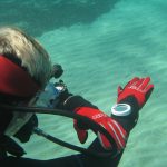 Dive Courses