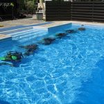 Dive Courses