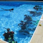 Dive Courses