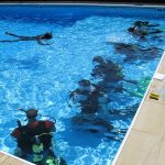 Dive Courses