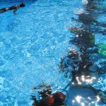 Dive Courses