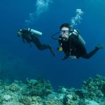 Divemaster Internship Cyprus