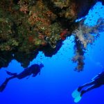 Padi Instructor Internship Cyprus