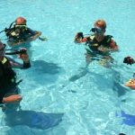 5 Star Dive School